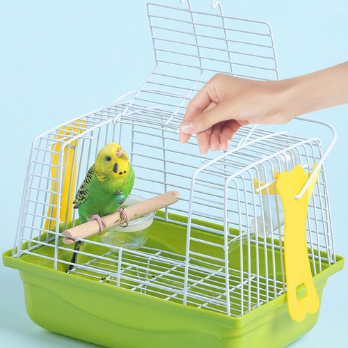 Bird cage travel - bird,