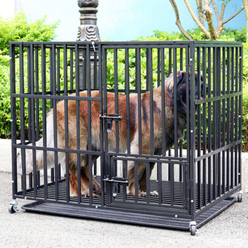 Gabbia per cani acciaio - per, in