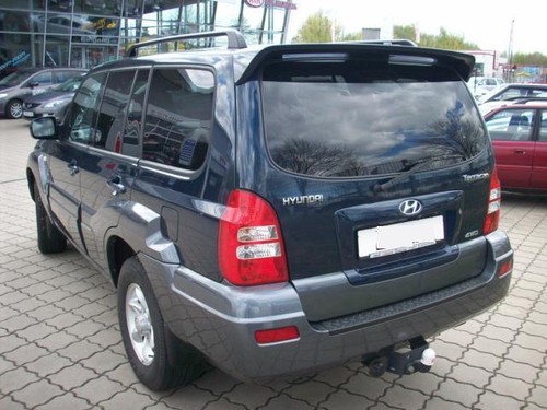 Hyundai terracan gabbia per - hyundai,