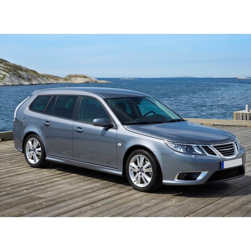 Peugeot 308 2007 cane - 308,