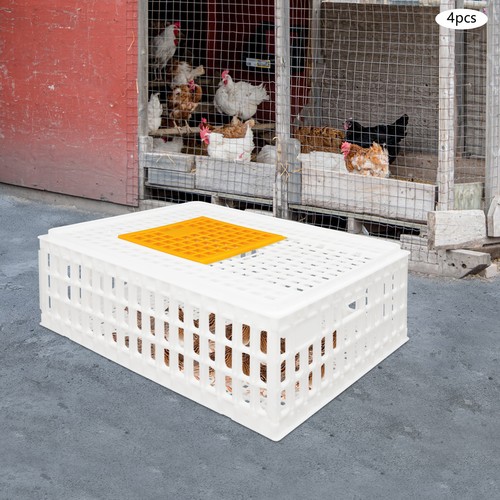 4xplastic gabbia trasporto - gabbia,